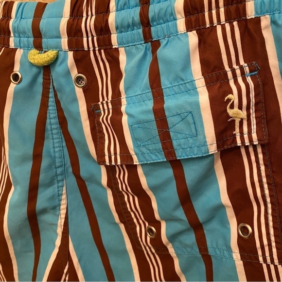 TAILORBYRD Men Blue Brown Striped Swim Trunk Shorts Size Medium - Picture 5 of 9